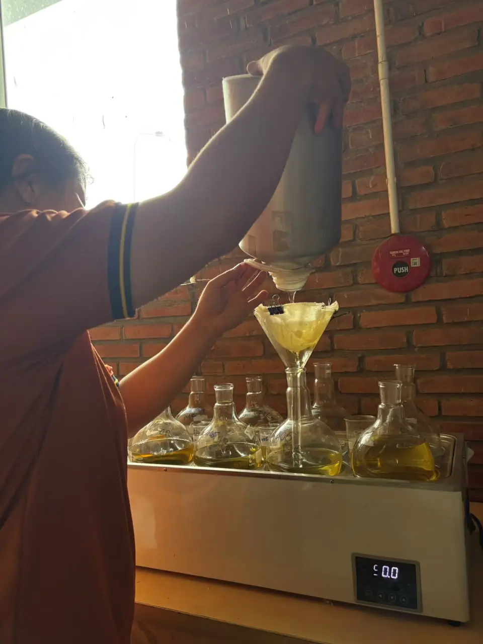 A lab technician filtering sandalwood essential oil